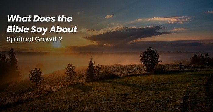 Open Bible with a growing plant beside it representing what the Bible says about spiritual growth